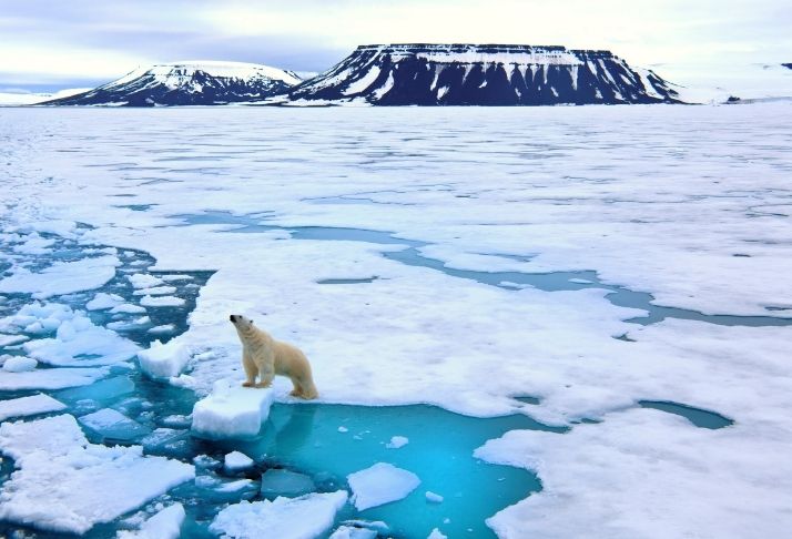 O derretimento do gelo não aumenta os níveis do mar - Mas ainda vai nos impactar