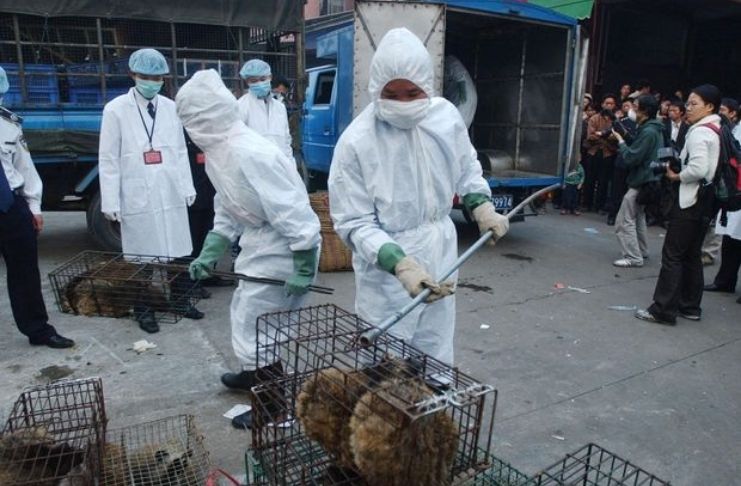Doença bacteriana contagiosa na China infecta milhares após vazamento em fábrica