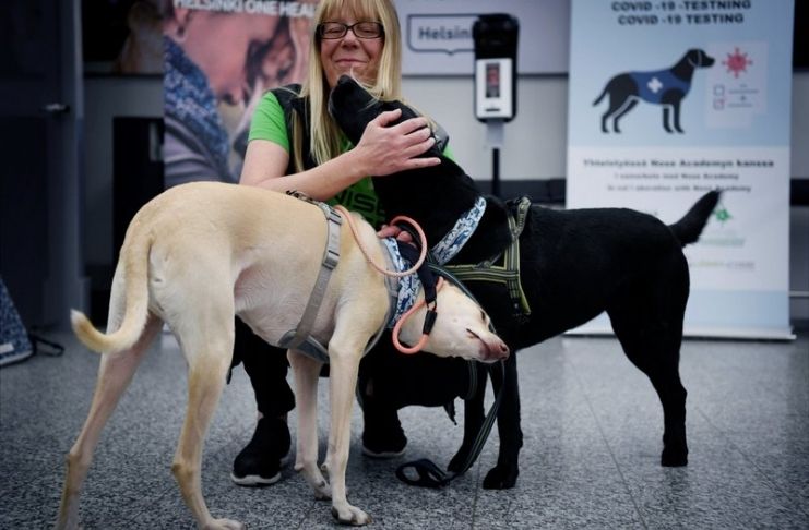Finlândia coloca cães farejadores de coronavírus no aeroporto
