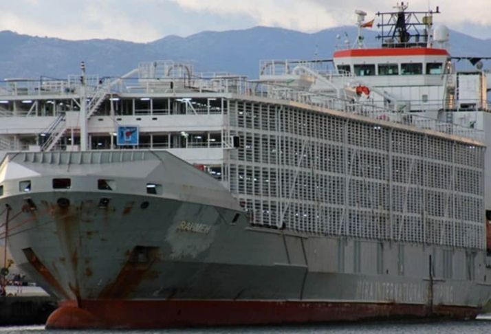 Navio australiano de exportação desapareceu no mar após tufão