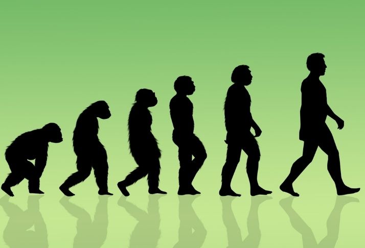 Os seres humanos ainda estão evoluindo? Os cientistas entram em discussão