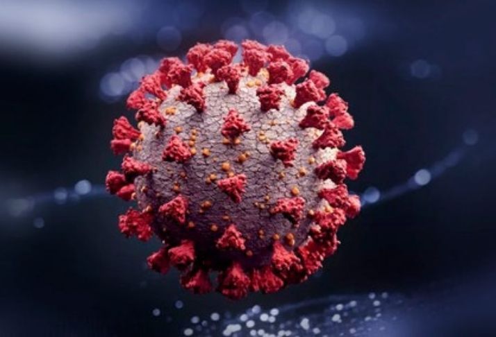 Coronavírus: Pesquisadores descobrem que o vírus é resistente ao calor e pode se regenerar