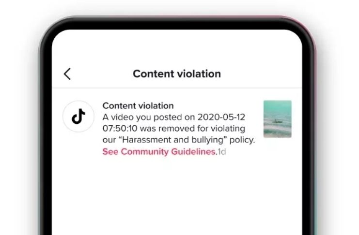 TikTok vai informar ao usuário porque seu vídeo foi removido