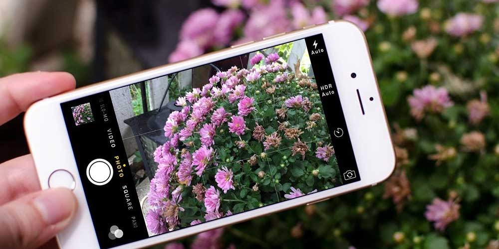 Como identificar flores e árvores pelo celular 3 Como identificar flores e árvores pelo celular